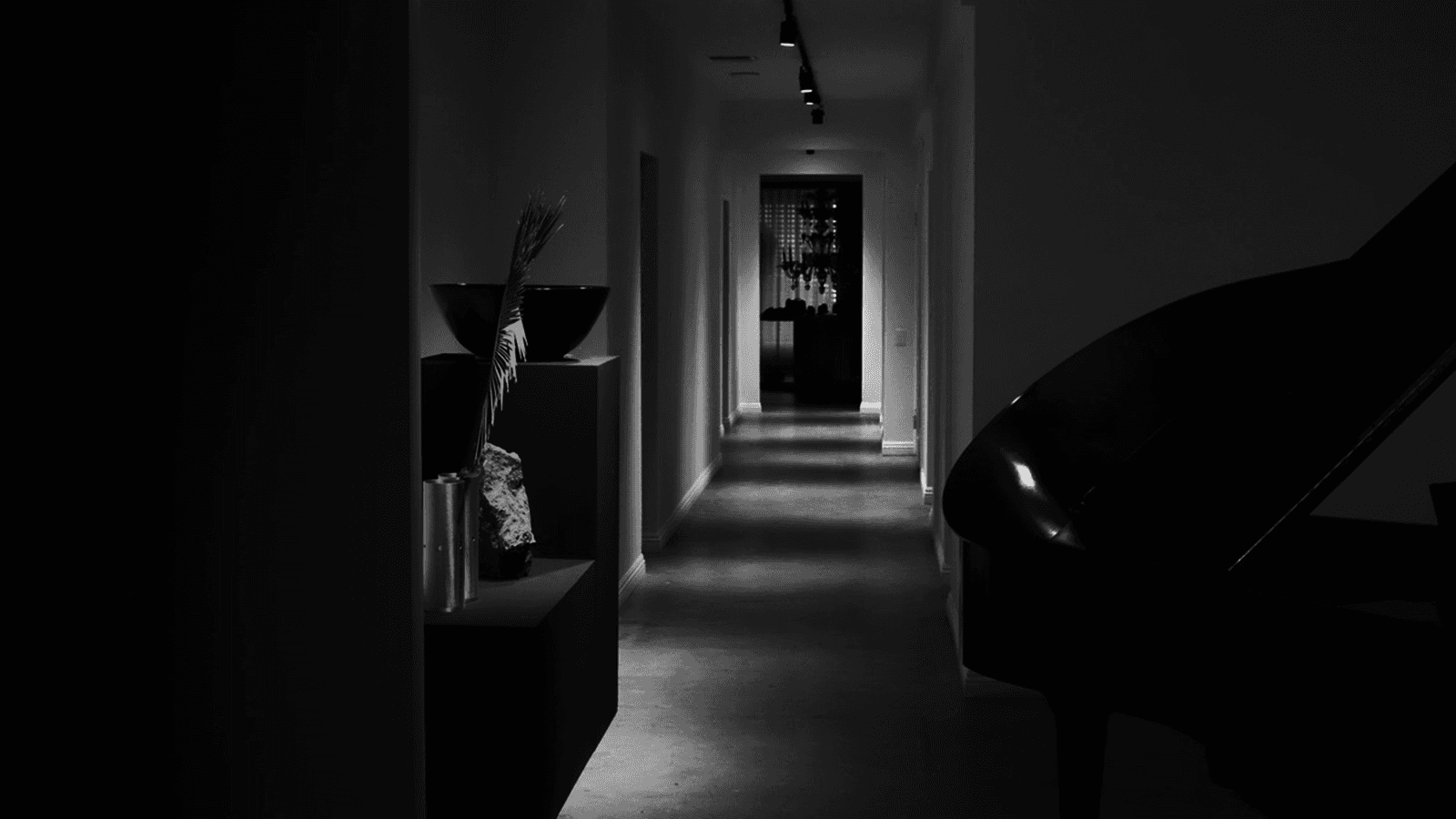 Dries Van Noten: BOND